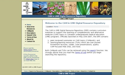 Screenshot image of the CAM in UME Project repository